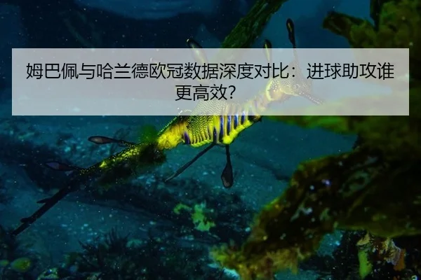 姆巴佩与哈兰德欧冠数据深度对比：进球助攻谁更高效？